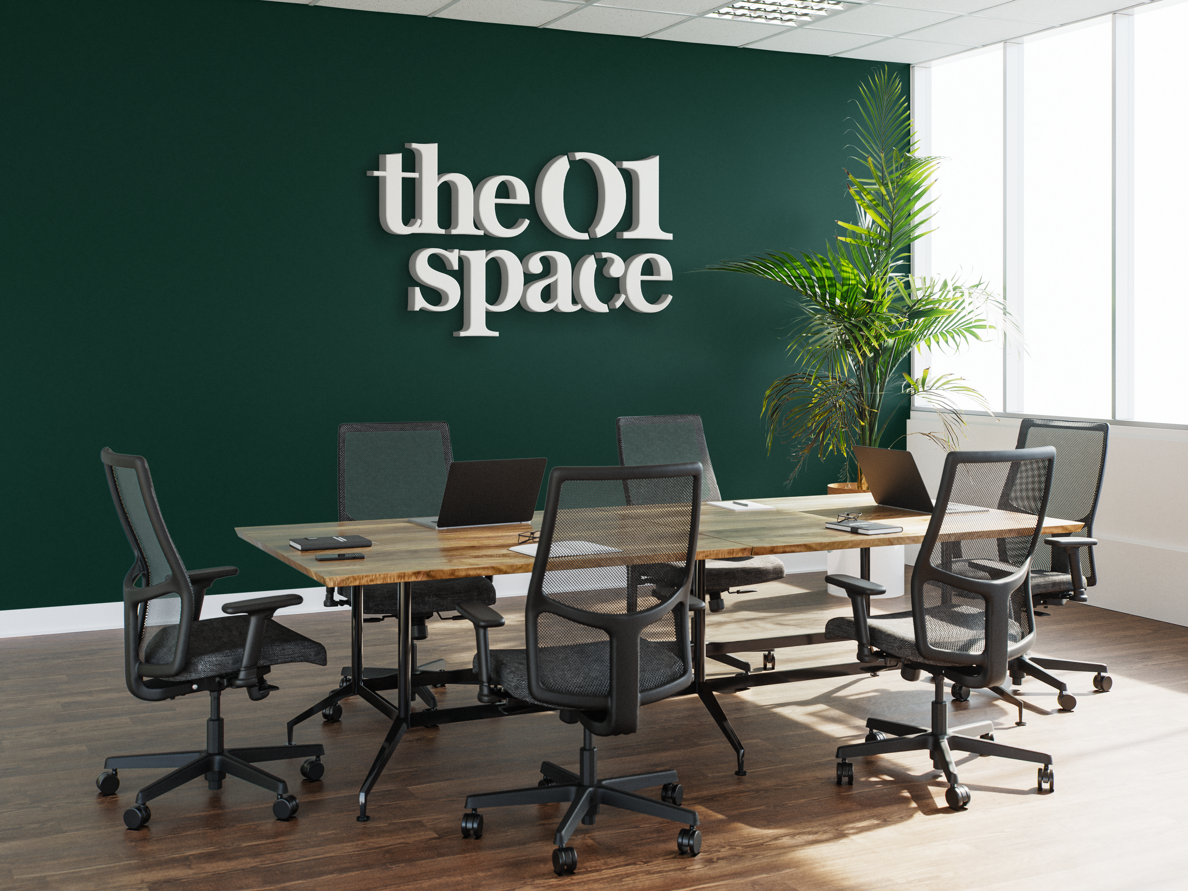 Image of people doing squat workouts